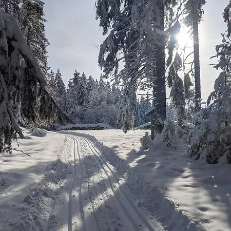 Schwarzwald Strauch Casa de Férias Ühlingen-Birkendorf